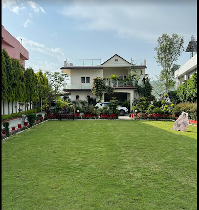 hotels in paonta sahib : olive green